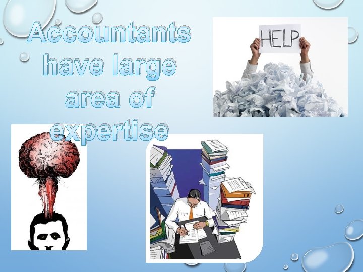 Accountants have large area of expertise 