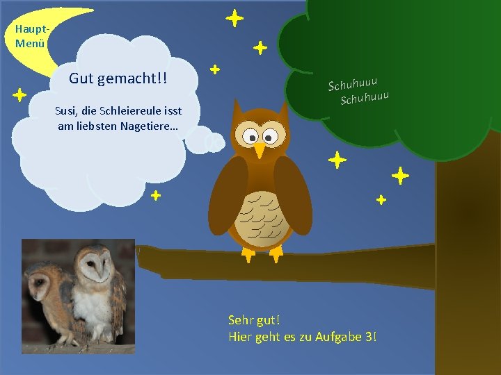 Haupt. Menü Gut gemacht!! Susi, die Schleiereule isst am liebsten Nagetiere… Schuhuuu Sehr gut!