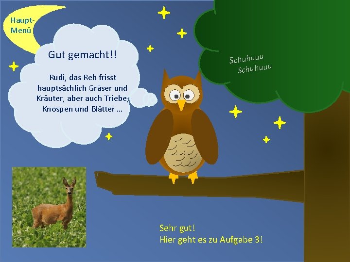 Haupt. Menü Gut gemacht!! Rudi, das Reh frisst hauptsächlich Gräser und Kräuter, aber auch