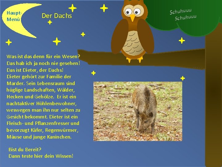 Haupt. Menü Der Dachs Was ist das denn für ein Wesen? Das hab ich