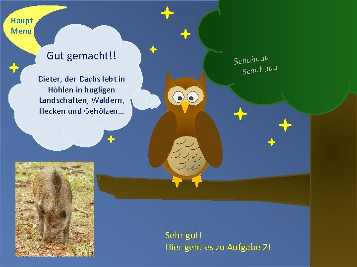 Haupt. Menü Gut gemacht!! Dieter, der Dachs lebt in Höhlen in hügligen Landschaften, Wäldern,