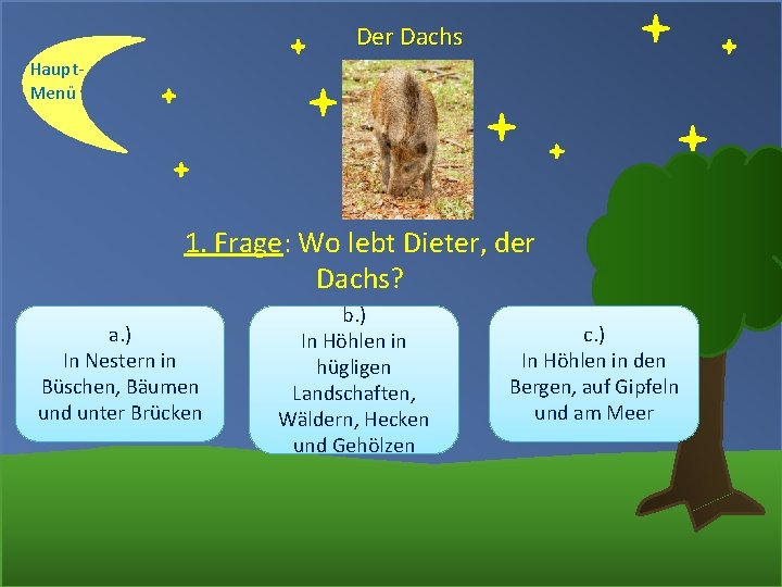 Der Dachs Haupt. Menü 1. Frage: Wo lebt Dieter, der Dachs? a. ) In