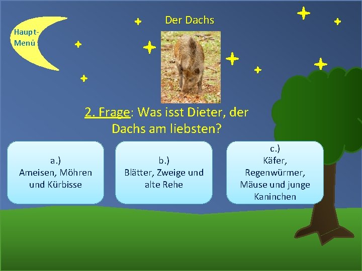 Der Dachs Haupt. Menü 2. Frage: Was isst Dieter, der Dachs am liebsten? a.