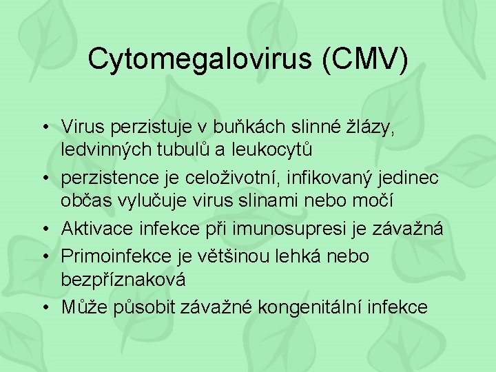 Cytomegalovirus (CMV) • Virus perzistuje v buňkách slinné žlázy, ledvinných tubulů a leukocytů •