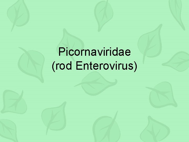 Picornaviridae (rod Enterovirus) 