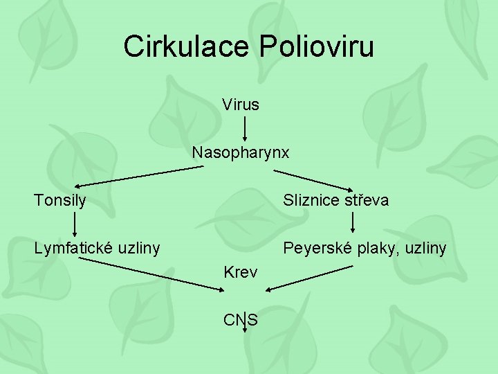 Cirkulace Polioviru Virus Nasopharynx Tonsily Sliznice střeva Lymfatické uzliny Peyerské plaky, uzliny Krev CNS