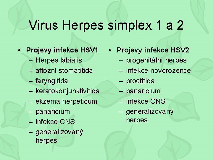 Virus Herpes simplex 1 a 2 • Projevy infekce HSV 1 – Herpes labialis