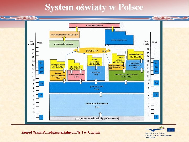 System oświaty w Polsce Zespół Szkół Ponadgimnazjalnych Nr 1 w Chojnie 