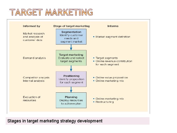 Stages in target marketing strategy development 