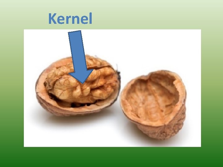 Kernel 