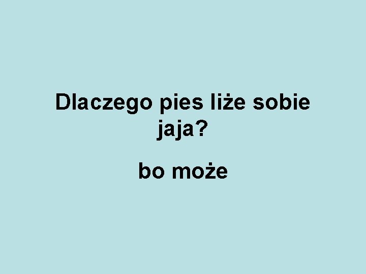 Dlaczego pies liże sobie jaja? bo może 