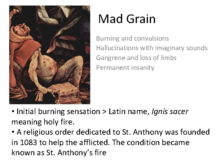 Mad Grain Burning and convulsions Hallucinations with imaginary sounds Gangrene and loss of limbs