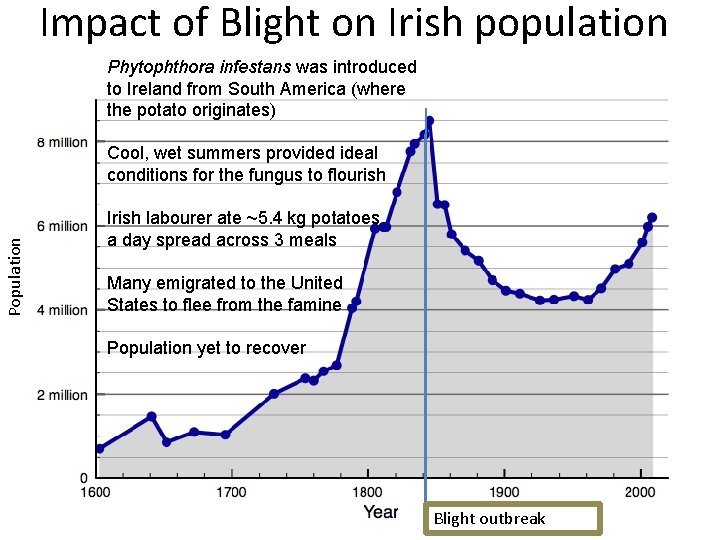 Impact of Blight on Irish population Phytophthora infestans was introduced to Ireland from South