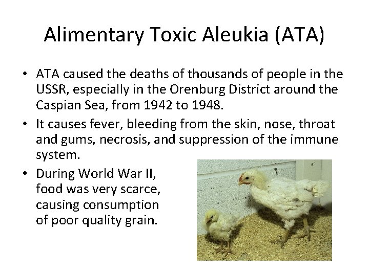 Alimentary Toxic Aleukia (ATA) • ATA caused the deaths of thousands of people in