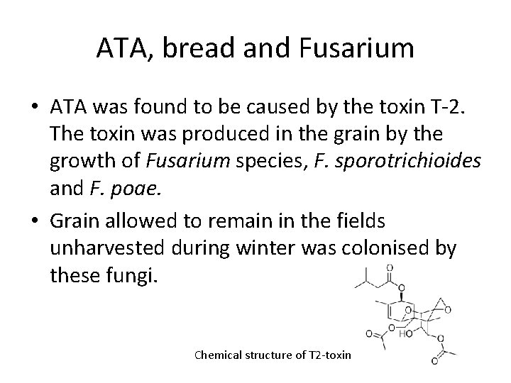 ATA, bread and Fusarium • ATA was found to be caused by the toxin