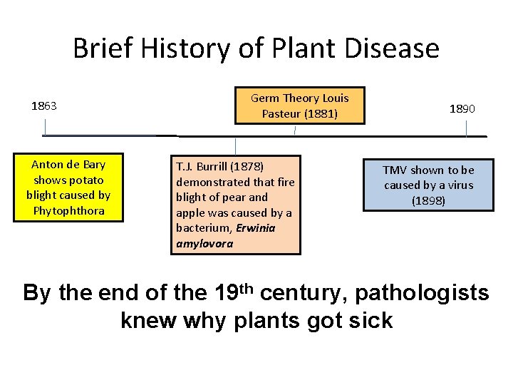 Brief History of Plant Disease 1863 Anton de Bary shows potato blight caused by