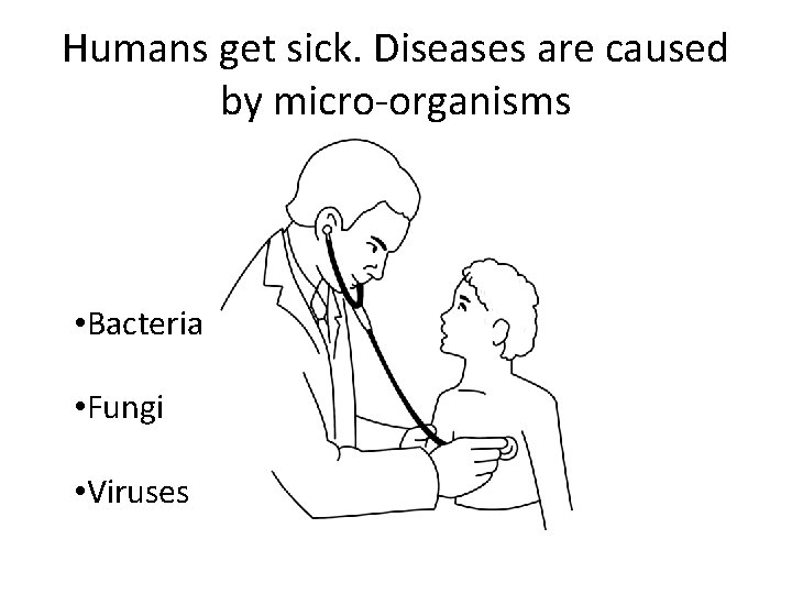 Humans get sick. Diseases are caused by micro-organisms • Bacteria • Fungi • Viruses