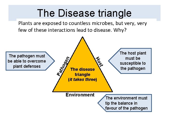 The Disease triangle ge Pa tho The disease triangle (it takes three) Environment st