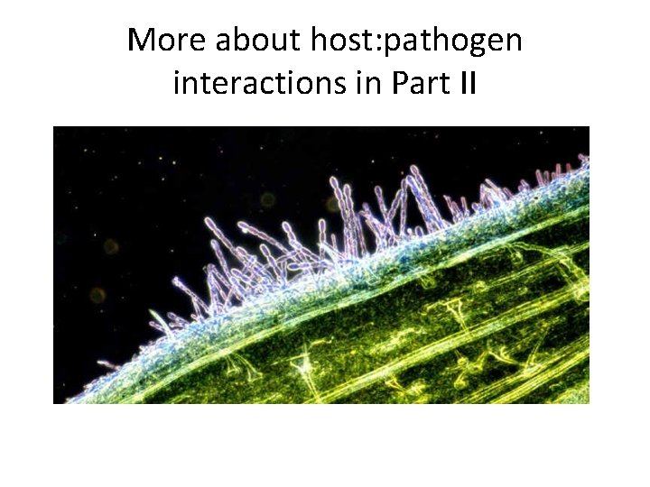 More about host: pathogen interactions in Part II 