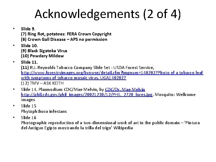 Acknowledgements (2 of 4) • • • Slide 9. (7) Ring Rot, potatoes: FERA