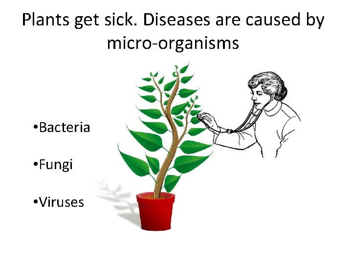 Plants get sick. Diseases are caused by micro-organisms • Bacteria • Fungi • Viruses