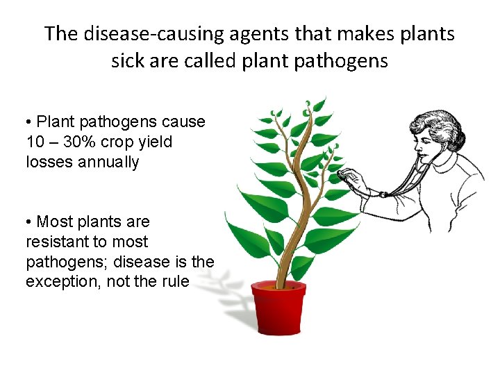 The disease-causing agents that makes plants sick are called plant pathogens • Plant pathogens