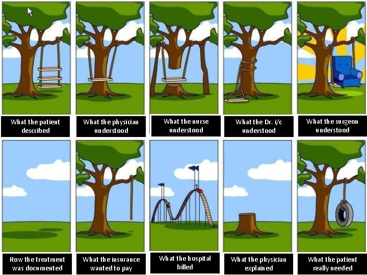 What the patient described What the physician understood What the nurse understood What the