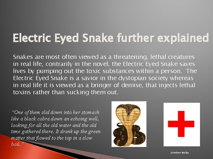 Electric Eyed Snake further explained Snakes are most often viewed as a threatening, lethal