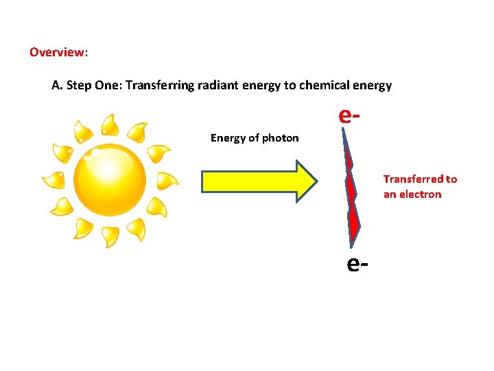 Overview: A. Step One: Transferring radiant energy to chemical energy Energy of photon e.