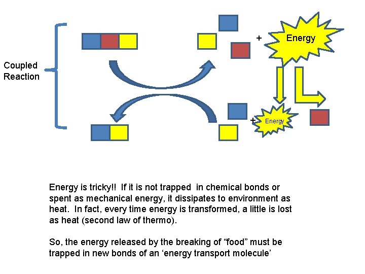 + Energy Coupled Reaction + Energy is tricky!! If it is not trapped in
