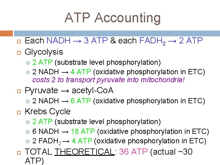 ATP Accounting Each NADH → 3 ATP & each FADH 2 → 2 ATP