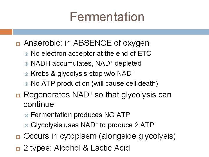 Fermentation Anaerobic: in ABSENCE of oxygen No electron acceptor at the end of ETC