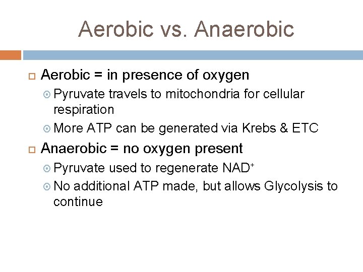 Aerobic vs. Anaerobic Aerobic = in presence of oxygen Pyruvate travels to mitochondria for