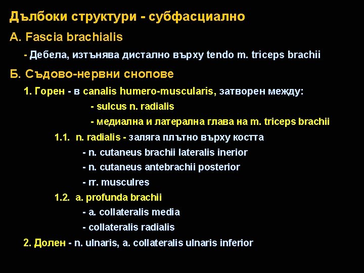 Дълбоки структури - субфасциално А. Fascia brachialis - Дебела, изтънява дистално върху tendo m.