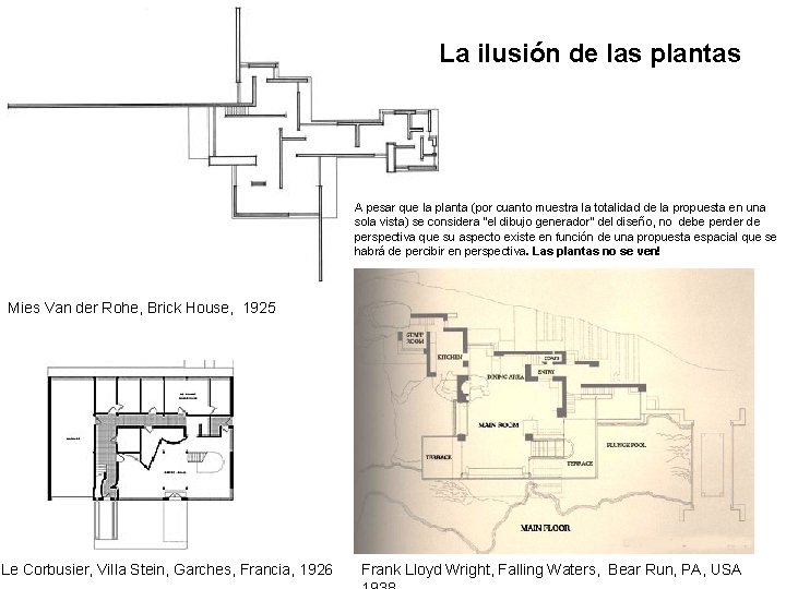 La ilusión de las plantas A pesar que la planta (por cuanto muestra la