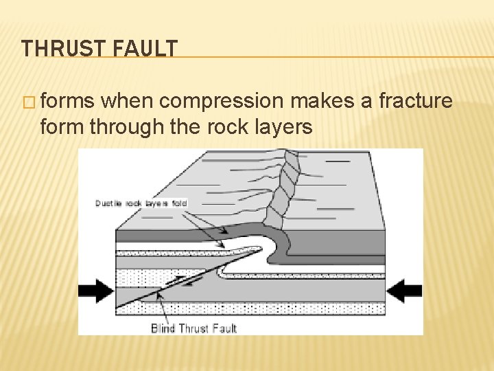 THRUST FAULT � forms when compression makes a fracture form through the rock layers