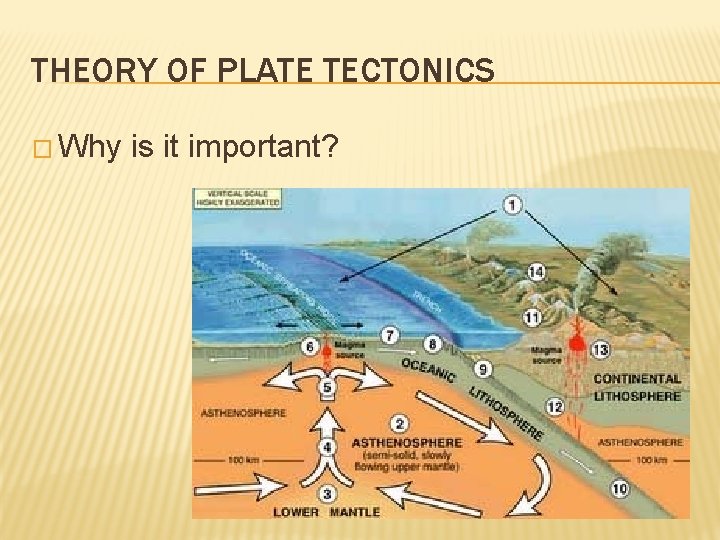 THEORY OF PLATE TECTONICS � Why is it important? 