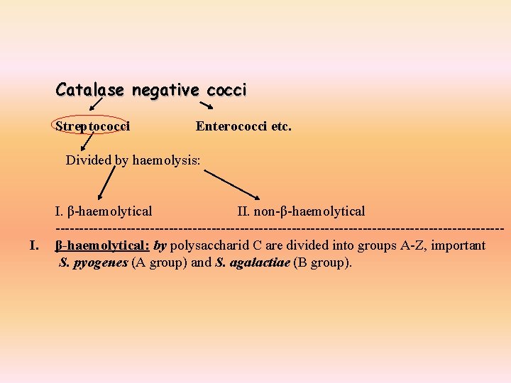 Catalase negative cocci Streptococci Enterococci etc. Divided by haemolysis: I. β-haemolytical II. non-β-haemolytical -----------------------------------------------β-haemolytical: