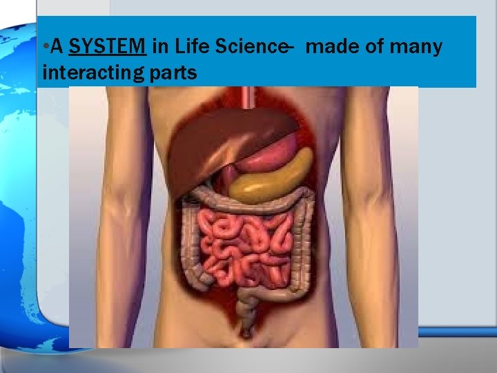  • A SYSTEM in Life Science- made of many interacting parts 