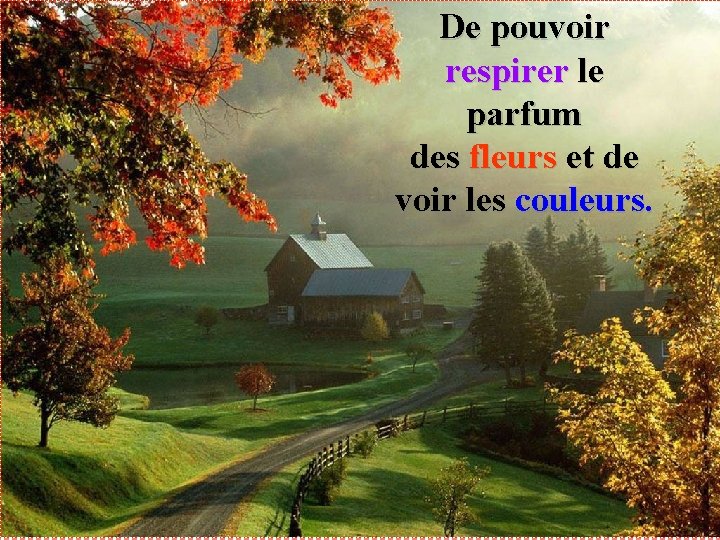 De pouvoir respirer le parfum des fleurs et de voir les couleurs. 