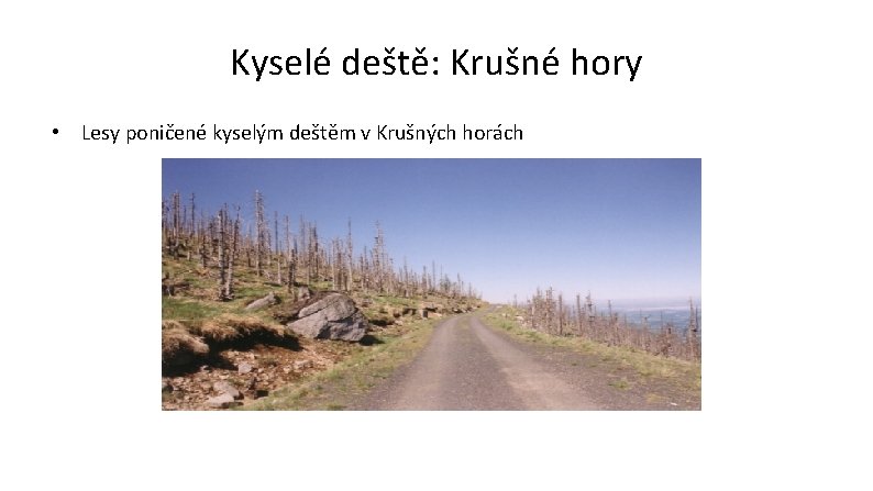 Kyselé deště: Krušné hory • Lesy poničené kyselým deštěm v Krušných horách 