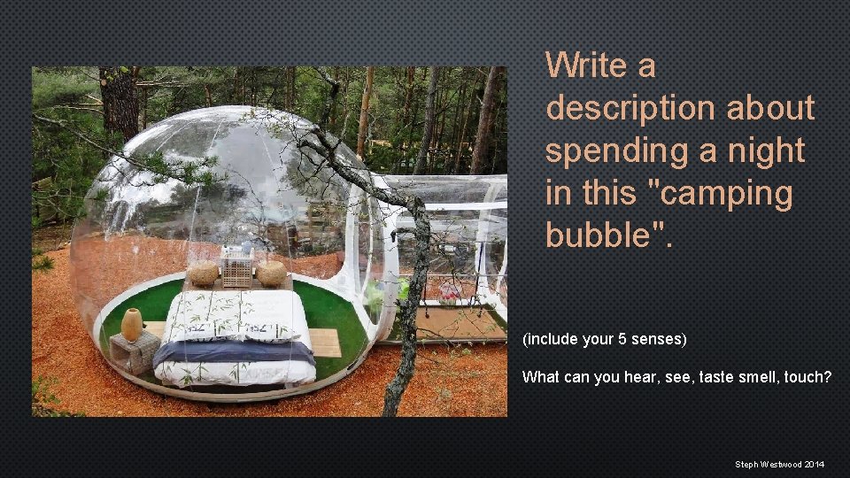 Write a description about spending a night in this "camping bubble". (include your 5
