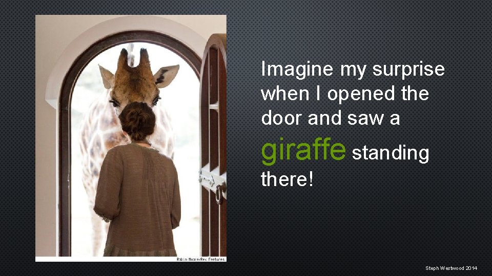 Imagine my surprise when I opened the door and saw a giraffe standing there!