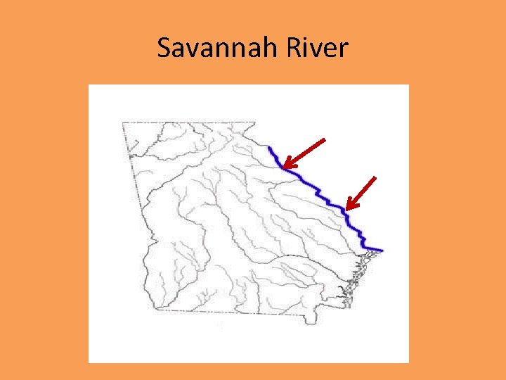 Savannah River 