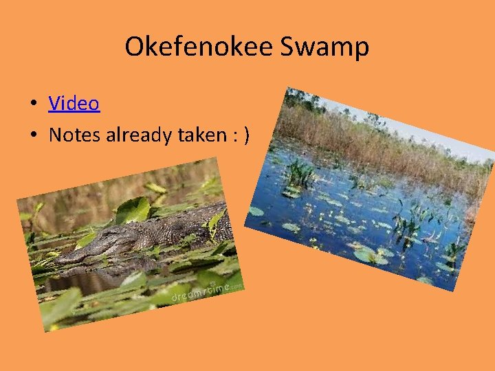 Okefenokee Swamp • Video • Notes already taken : ) 