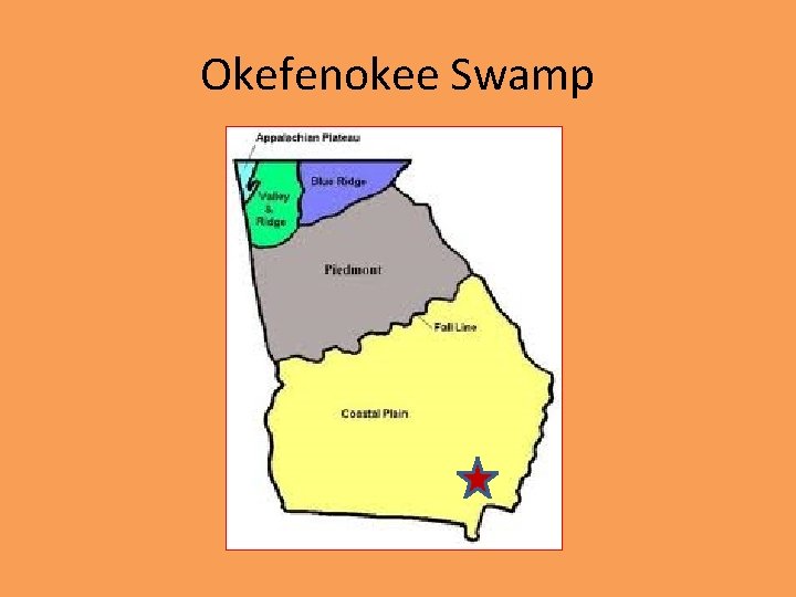 Okefenokee Swamp 