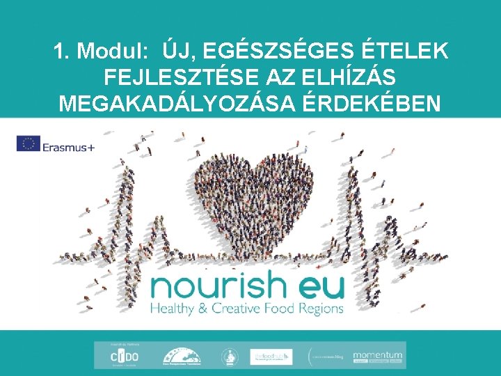 1. Modul: ÚJ, EGÉSZSÉGES ÉTELEK FEJLESZTÉSE AZ ELHÍZÁS MEGAKADÁLYOZÁSA ÉRDEKÉBEN 