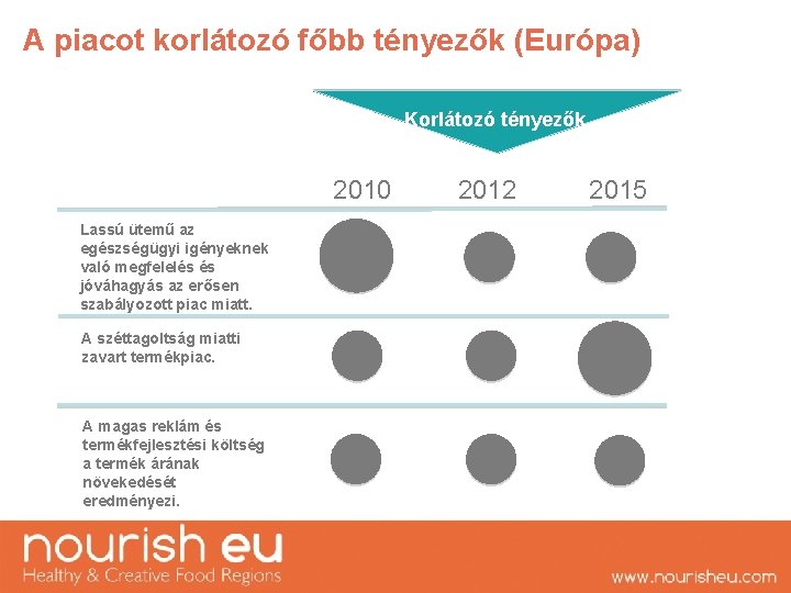 A piacot korlátozó főbb tényezők (Európa) Korlátozó tényezők 2010 2012 2015 Lassú ütemű az