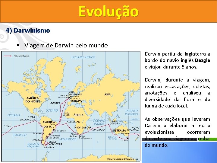 Evolução 4) Darwinismo § Viagem de Darwin pelo mundo Darwin partiu da Inglaterra a Evolução 4) Darwinismo § Viagem de Darwin pelo mundo Darwin partiu da Inglaterra a