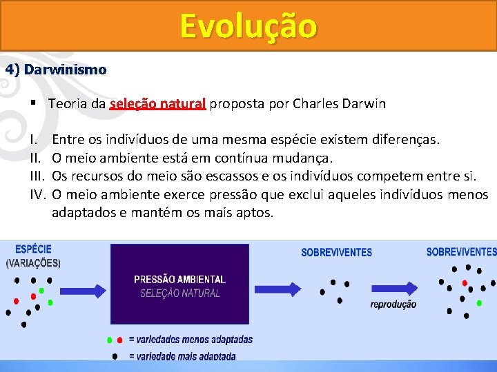 Evolução 4) Darwinismo § Teoria da seleção natural proposta por Charles Darwin I. III. Evolução 4) Darwinismo § Teoria da seleção natural proposta por Charles Darwin I. III.